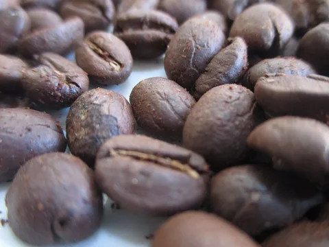 Roasted coffee beans documented as Sierra Nevada de Santa Marta coffee, Colombia