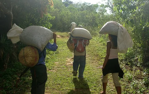Coffee growers carrying sacks in Tacuba, El Salvador (2007)
