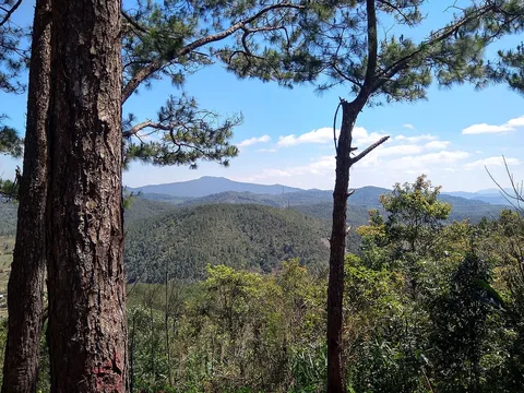 Pine-framed hills at Măng Đen, Kon Tum