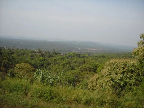 Green slopes of the M’Nông Plateau, Dak Nong
